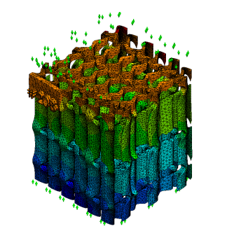 Bone Graft